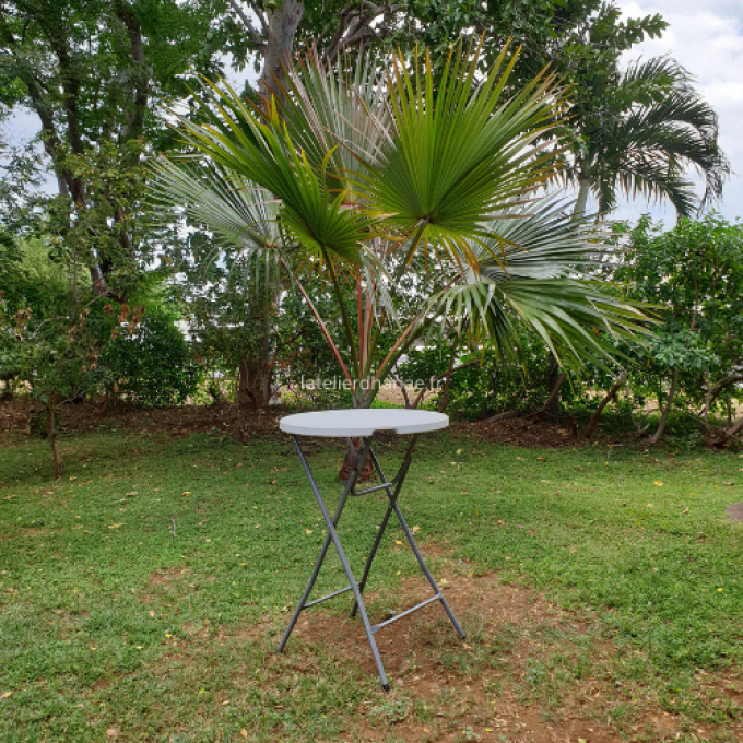 Location table Mange-debout + Housse (blanc, rouge, noir)